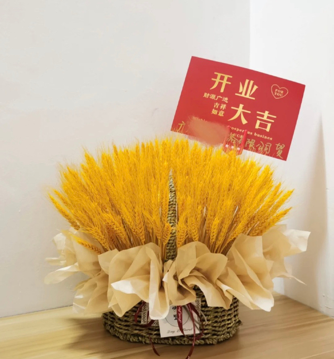 大麦招财猫手提花篮