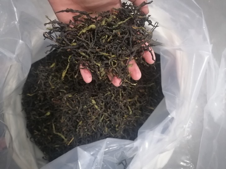 凤凰鸭屎香，自家生产，无中商价，自家特产