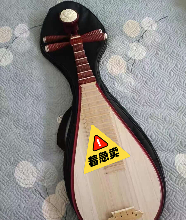 表妹的琵琶,原价1600买的,花梨木成人琵...