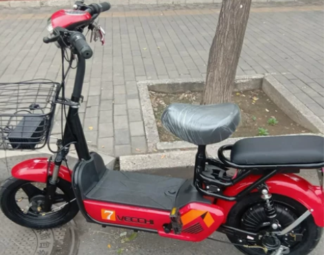 新款电动车48V电动自行车小型电瓶车电池可...