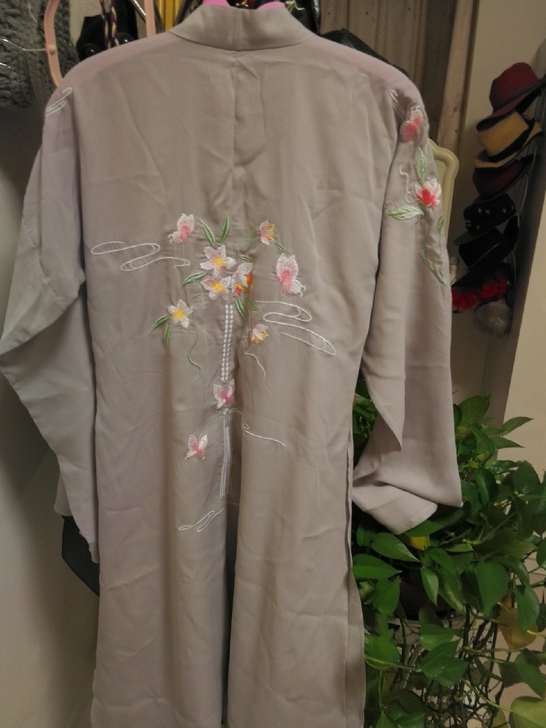 素羽华裳汉服女蝶恋花