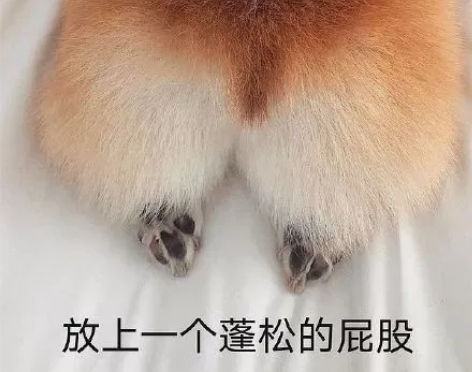 汉服影楼，汉服社团 汉服出租 道具的来收便...