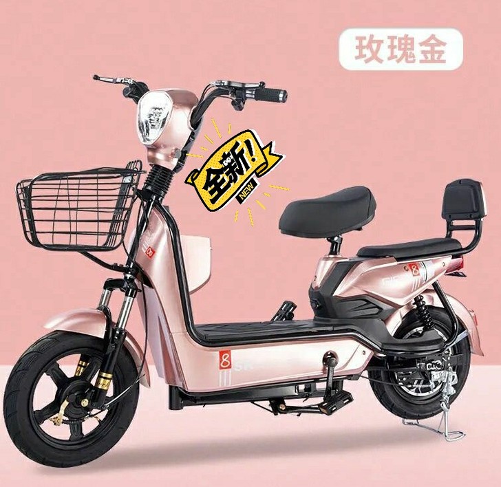 #节后鱼生#实体店处理全新国标电动车电瓶车...