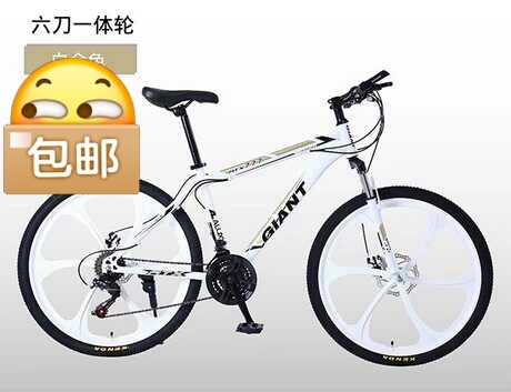 【低价处理，亏本清仓】捷安特山地车自行车六...