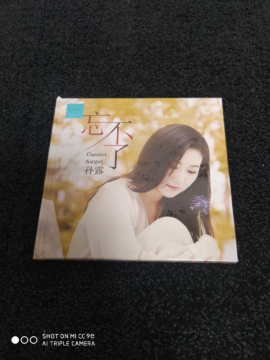 孙露 忘不了 无损黑胶cd碟 包邮价