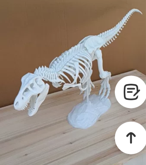 办公室摆件 恐龙骨架 3d打印 美术 素描...
