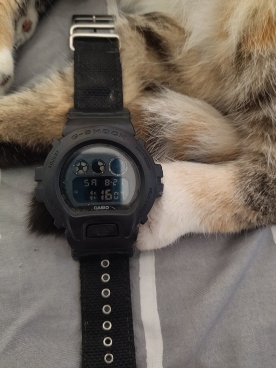 卡西欧 DW-6900BBN-1