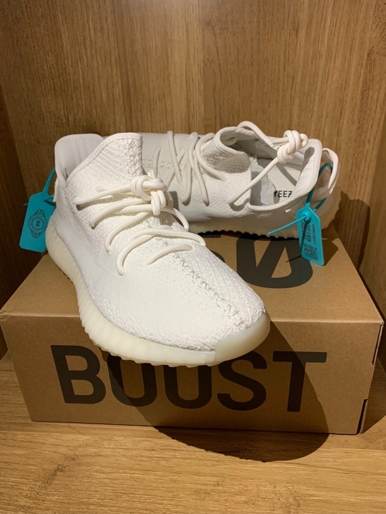 椰子350白冰
