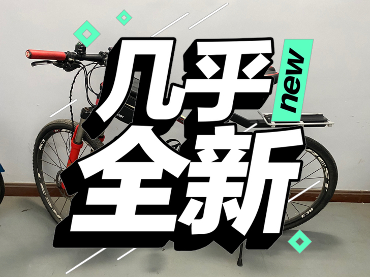 30变速，铝合金，油压碟刹，专业组装。就骑...