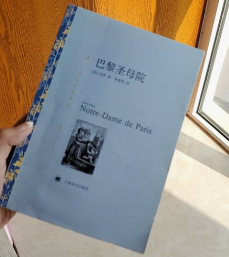 书籍 《巴黎圣母院》 书籍没翻过几次 有一...