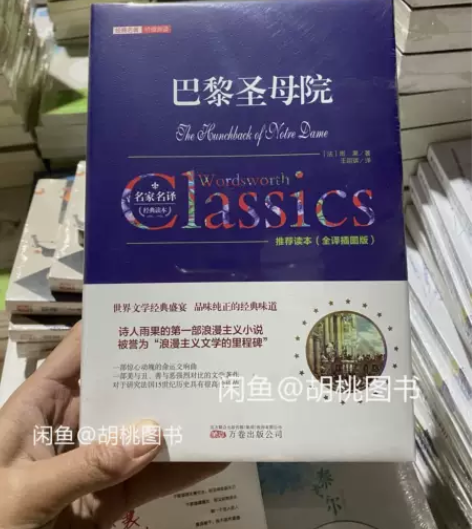 巴黎圣母院(全译插图版)(精)/经典名著价...
