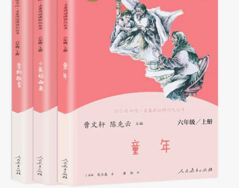 童年爱的教育小英雄雨来六年级上册人民教育出...