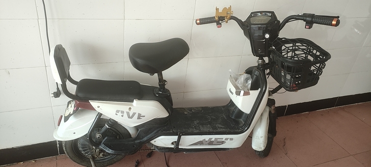 自用电车48v12a