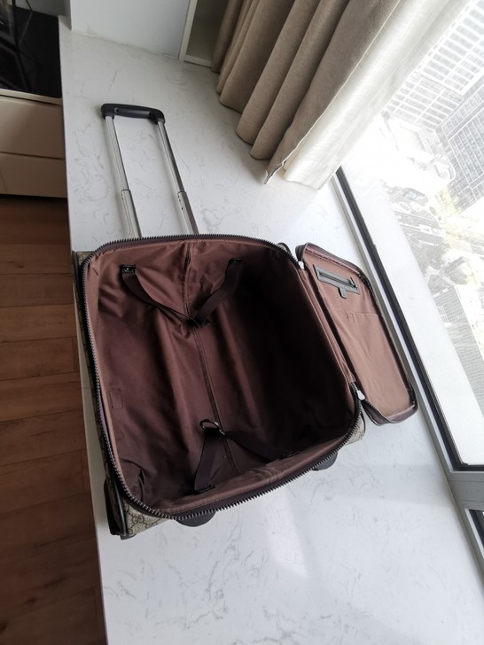 二十寸登机箱,行李箱,本人一手自用,仅限自...