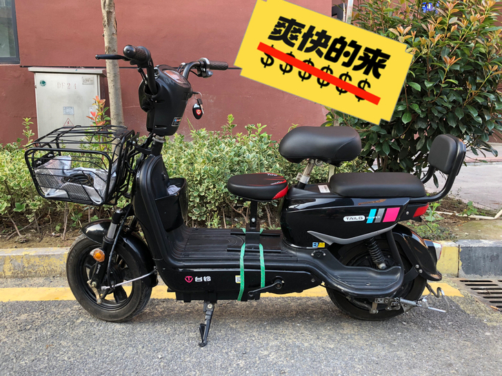 新国标 台铃电动车 48V20A 成色新