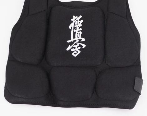 极真会空手道护胸 护甲 护身 全新转让,不...