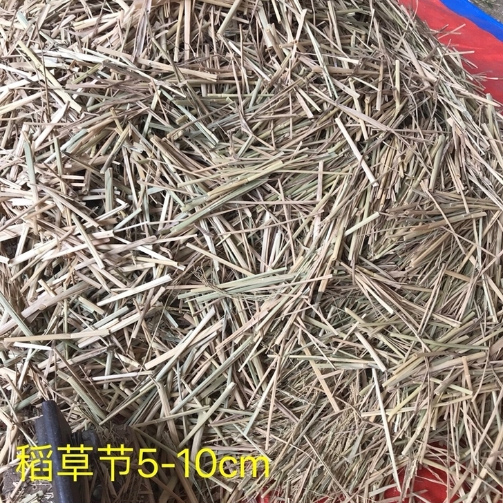 墙体装饰稻草6cm，60斤