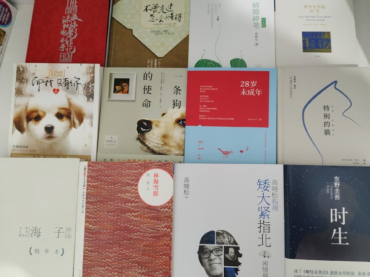 正版图书小说散文诗歌书籍