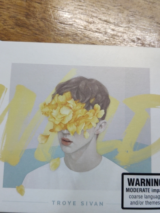 Troye sivan CD wild 澳...