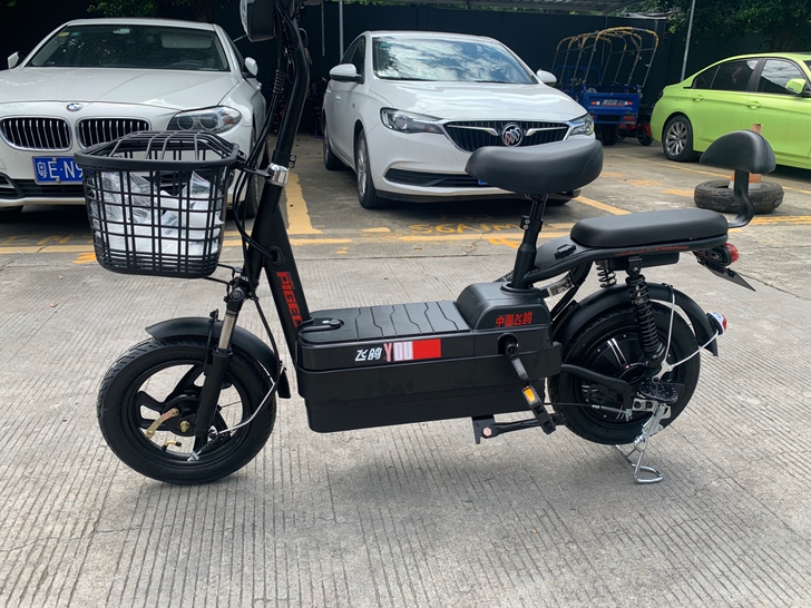 电动车,全新电动车,大电池,电池可以拿出来...