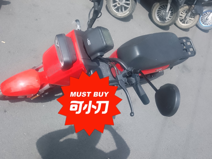 全新国标电动车，4颗电池，48V