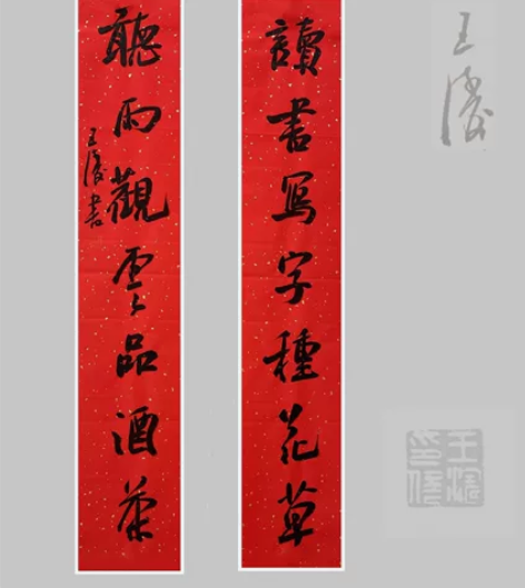 王涛 十二届十届九届国展获奖实力派书法...