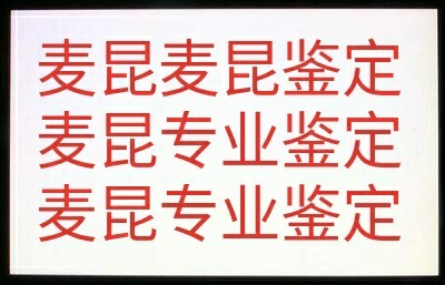 麦昆真假鉴定 亚历山大麦昆鉴定 麦昆鞋真假...