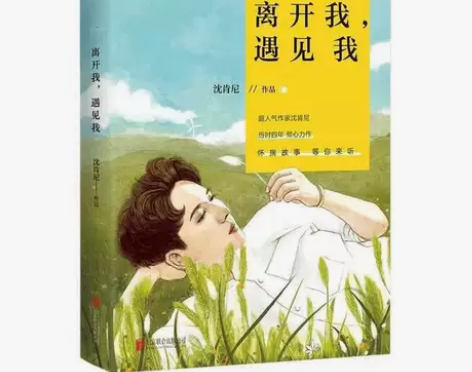 离开我,遇见我 外国随笔/散文集 沈肯尼 ...