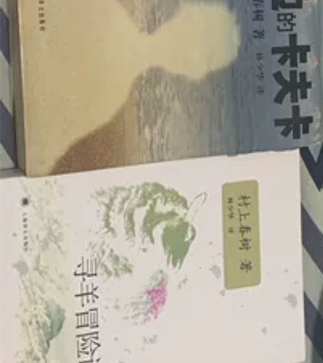 寻羊冒险记 海边的卡夫卡 且听风吟 世界尽...
