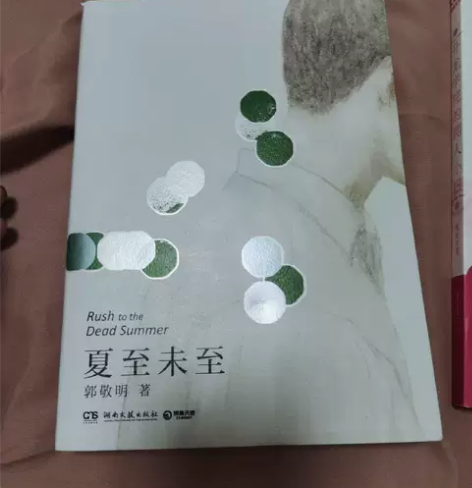 夏至未至 湖南文艺出版社 郭敬明 ...