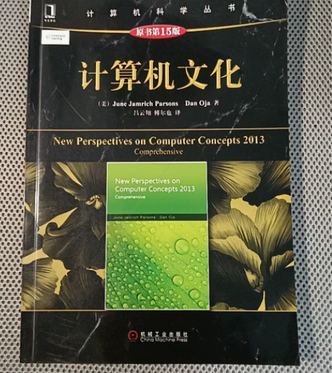 世界计算机科学经典从书—《计算机文化》。原...