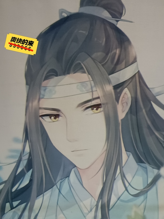 蓝忘机挂画