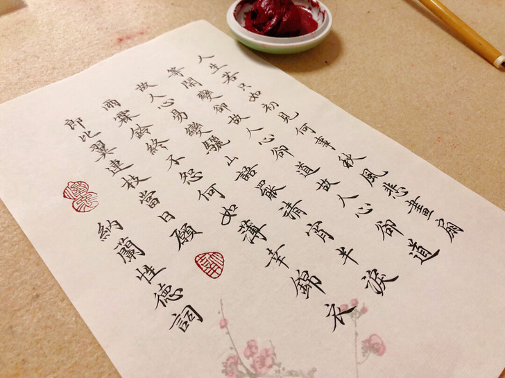 人生若只如初见,纳兰性德词,古风小楷书法作品