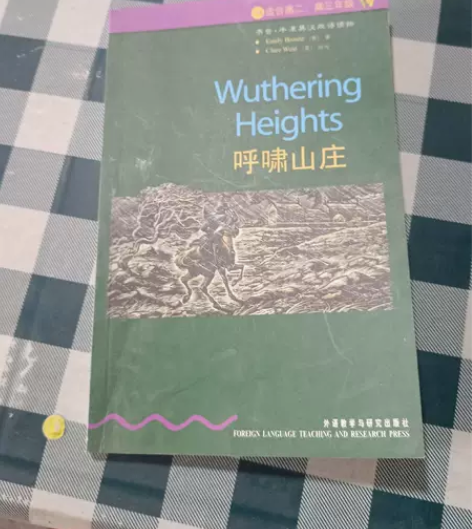 正版二手书 呼啸山庄 9787560012...