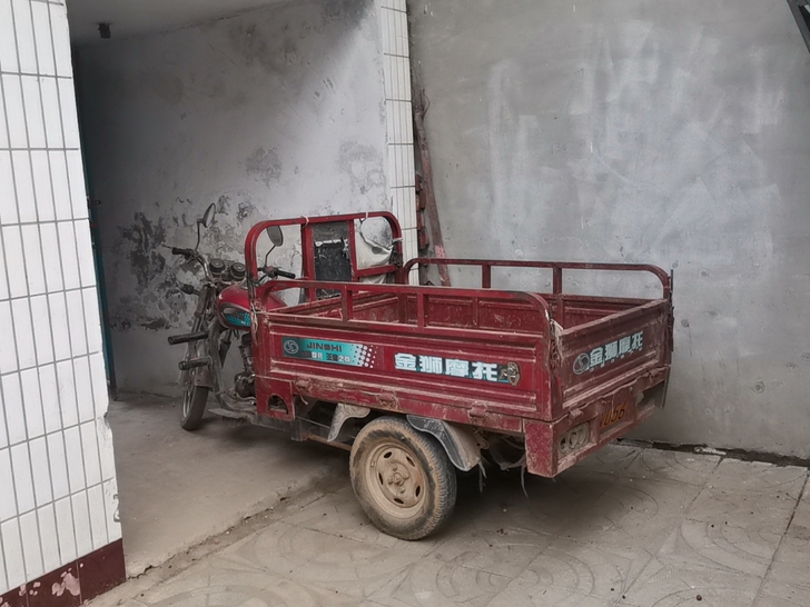 金狮牌摩托三轮车！车况良好，正常行驶中！车...