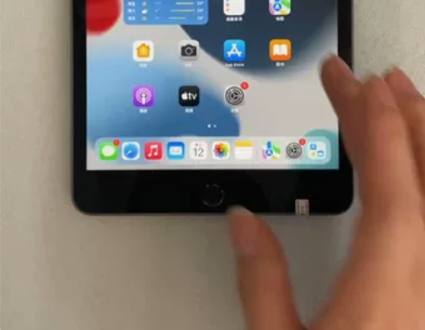 9成新，苹果  iPad mini5 (2...