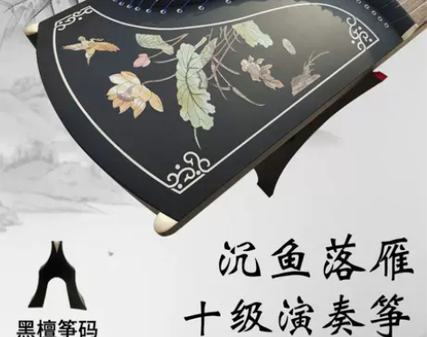 成人古筝专业考级10级古筝乐器初学者入门演...