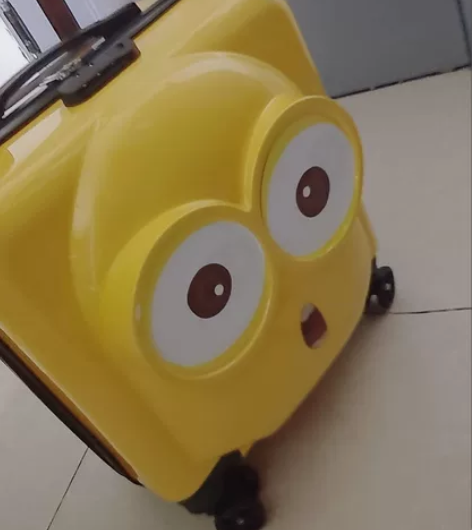 公司搞展会买多了,剩余20多个行旅箱便宜处...