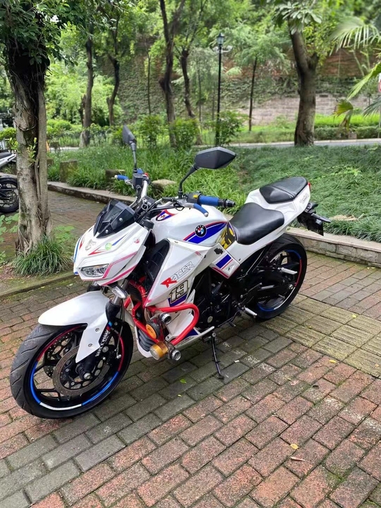 菜花蛇400cc