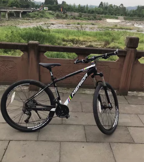 美丽达超越5,只骑过几次,总里程不超200...