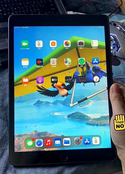 iPad 2020 自用款,iPad8,1...