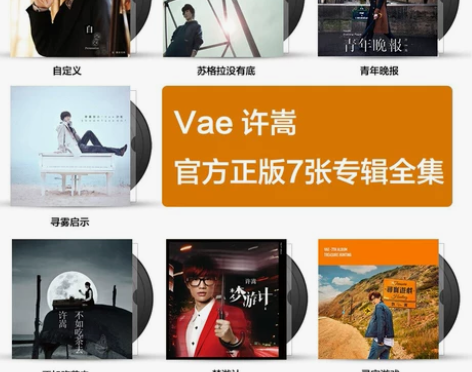 vae许嵩专辑全套 青年晚报/寻宝游戏/不...