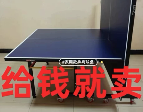 【闲置】乒乓球桌国际标准尺寸室内家用可折叠...