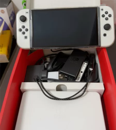 Switch lite日版剑盾限定版游戏主...