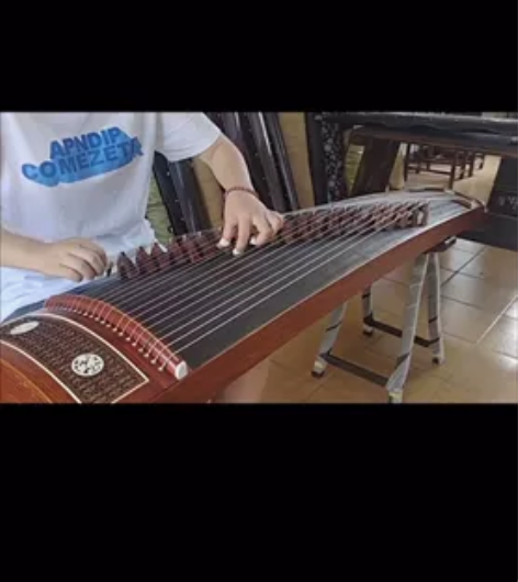 古筝不学了,占地方低价转让,涵韵红木古筝,...