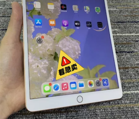 苹果ipad 2019款 可插卡 wifi...