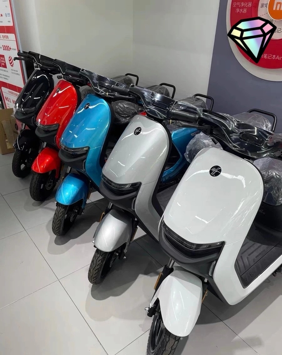 电动车,小米电动车,九号电动车,小米九号,...