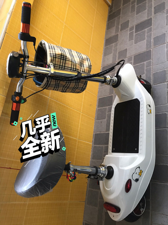 折叠电动车成人