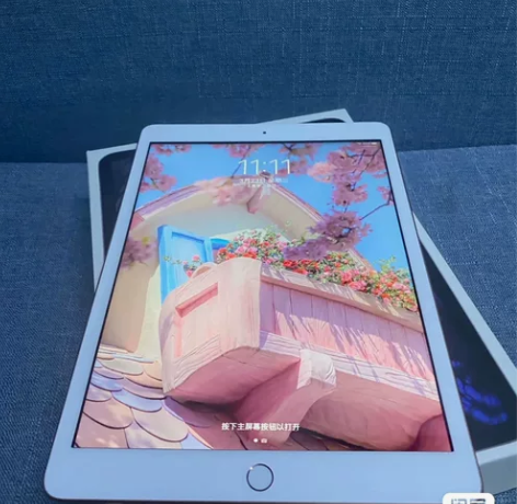 经济紧张出，2020款iPad平板电脑，1...