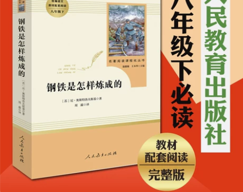 钢铁炼成的 怎样炼成傅雷是的(人民教育社)...